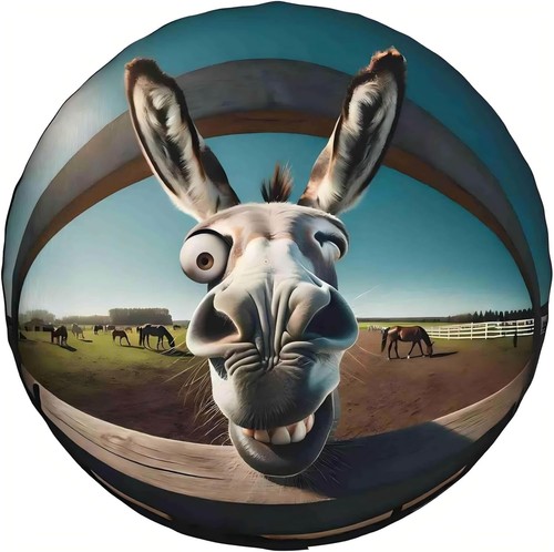 Spare tire cover - tire,