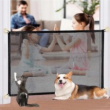 Pet dog gate safety - pet,