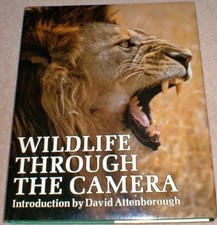 Wild Life Through the Camera