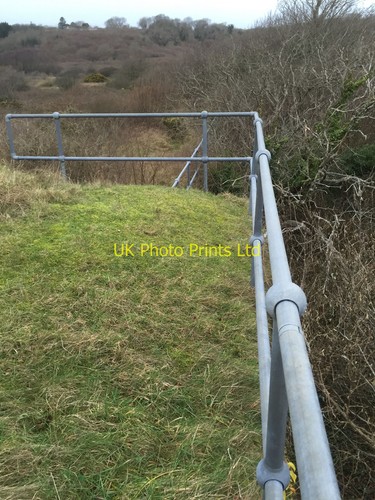 Photo 12x8 rifle - 12x8,