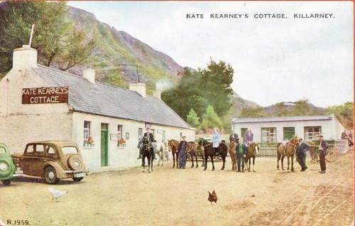 Ireland kate kearney s - -kate, kearney's