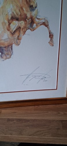 Brian west signed numbered - brian,