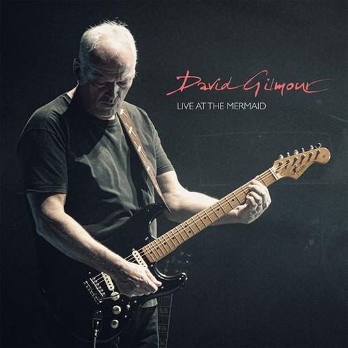 David gilmour live at the - david,