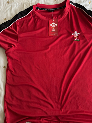 Wru welsh rugby union - rugby,