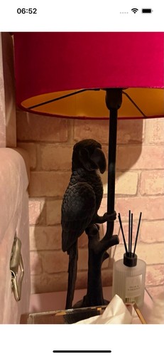 Next grey perry parrot - grey,