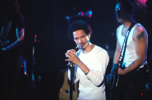 Eagle eye cherry - eye,