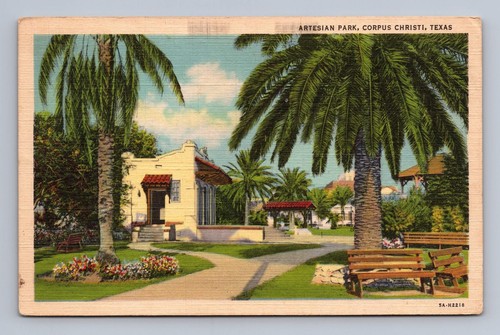 Texas corpus christi artesian - texas,