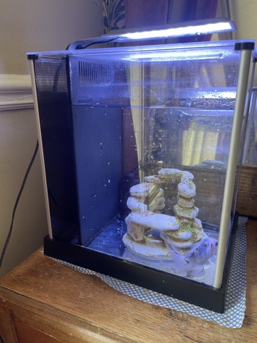 Fish tank fluval - , 10l