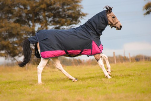 600d mediumweight winter - mediumweight,