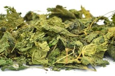 Stinging Nettle Leaf & Cut -