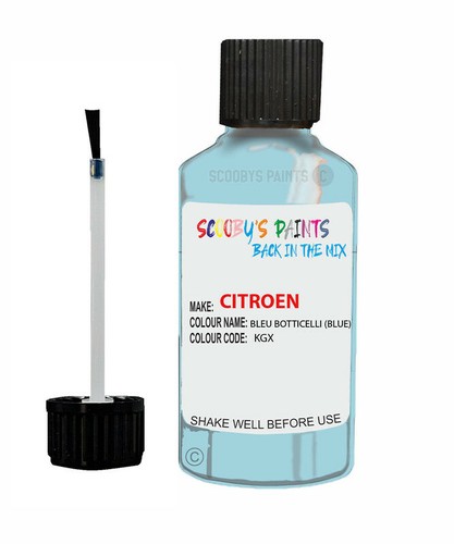 Paint for citroen bleu - citroen,