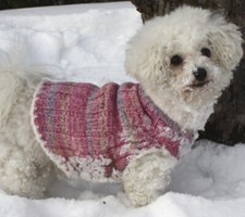 DOG COAT NUMBER 11 KNITTING