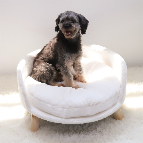 Wooden frame elevated dog - wooden,