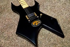 Custom Iowa Hawkeye Electric