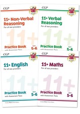 11+ Plus Test Practice 4