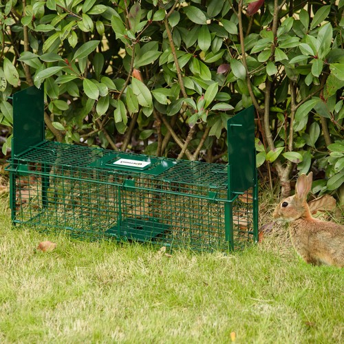 Humane rat trap - rat, trap,