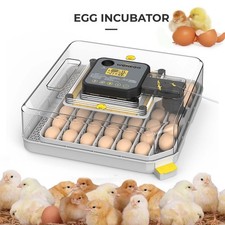48-Egg Fully Automatic