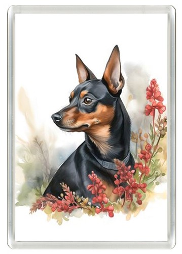 Miniature pinscher min pin dog - miniature,