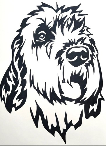 Italiano spinone decal - 1x,