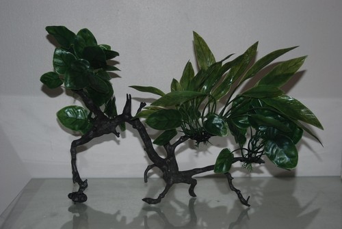 Aquarium realistic green - realistic,
