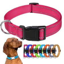 Dog Collar Reflective