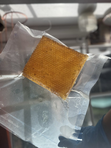 Honey honeycomb comb pieces - honey,