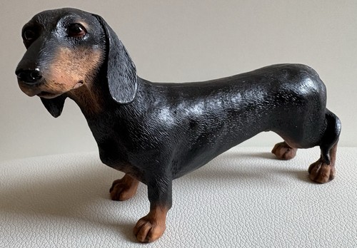 Leonardo black tan dachshund - leonardo,