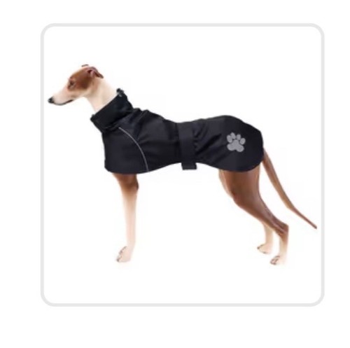 Greyhound dog raincoat - greyhound,