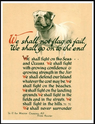 Bulldog churchill war - , time