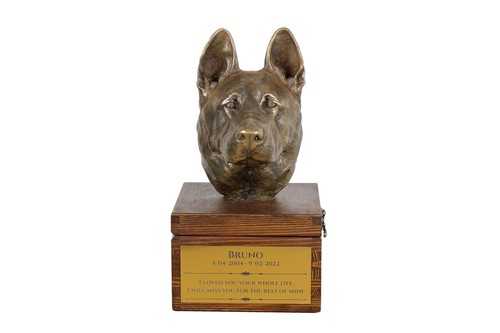 German shepherd dog alsatian - dog,,