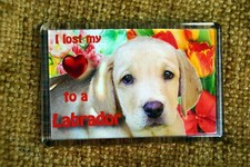 Labrador Gift Dog Fridge Magnet Yellow Lab pup 77x51mm Xmas Birthday Gift
