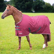 Shires Tempest Original 200g