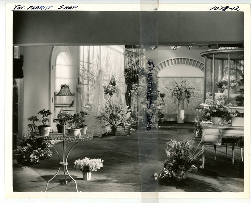Vintage 8x10 production - production, phot