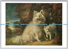 D323805 Thomas Gainsborough. Pomeranian Bitch and Puppy. National Gallery. Trust