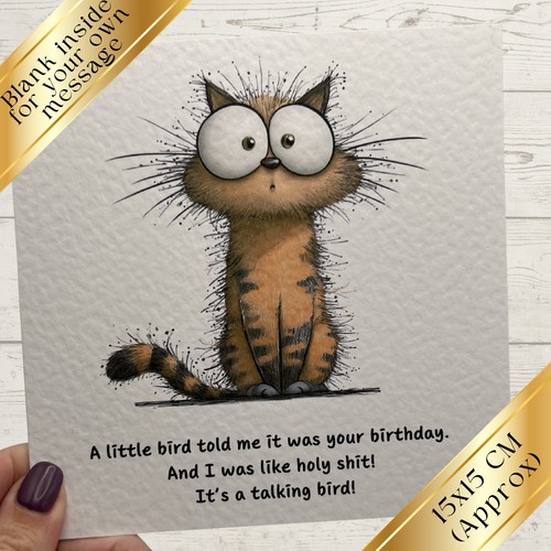 Funny cat birthday - funny,
