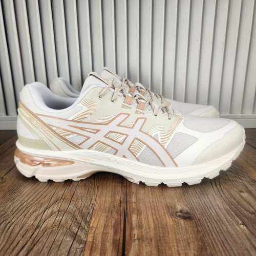 Asics gel terrain birch mens - asics,
