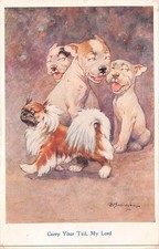 Bonzo Carry Your Tail My Lord G.E.Studdy Humour Postcard c1923