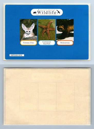 Discovering wildlife the - discovering,