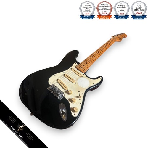 Fender mexico standard - fender,