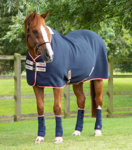Premier equine premtex horse - premtex,