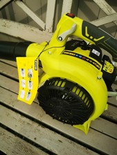 Ryobi Leaf Blower & Vacuum
