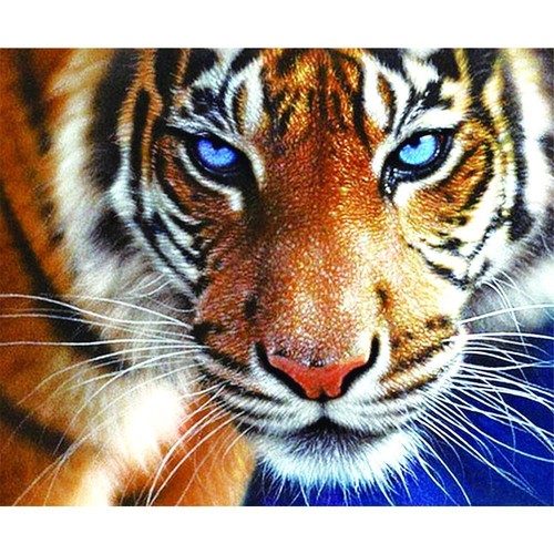 Diamond painting embroidery - 5d,
