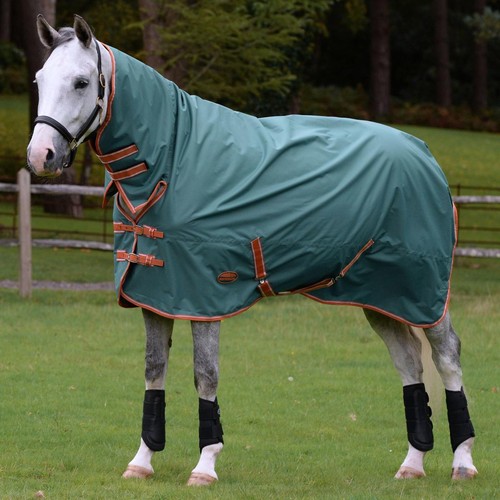 Weatherbeeta horse turnout - weatherbeeta,
