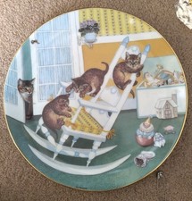 Country Kittens Hamilton