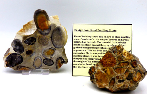 Hertfordshire puddingstone - hertfordshire,