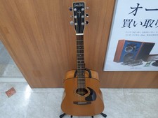 SIMON&PATRIC Acoustic Guitar