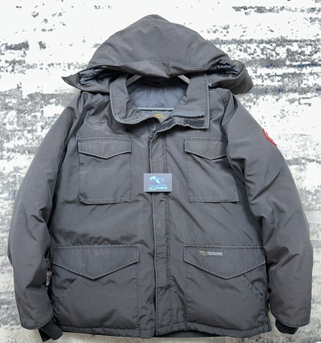 Canada goose expedition - goose,