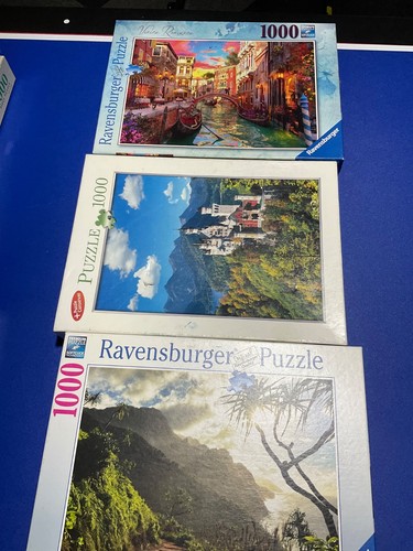 Complete 1000 jigsaw puzzles - 3,