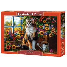 Jigsaw Puzzle 1000 pcs