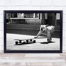 Dog Animal Street Skateboard Funny Humour Humour Board Wall Art Print